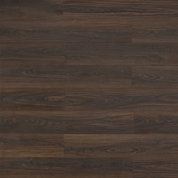 Toucan Laminate Flooring TF66 Series #6601 Mesilla 7-3/4" x 47-15/16"