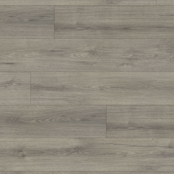 Beaulieu Laminate Flooring Conquest Ferdinand 7-5/8" x 54-7/16"
