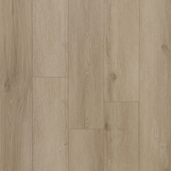 Planchers 1867 Laminate Flooring Concerto Edge Opus 5" x 48"