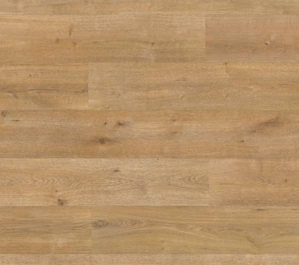 Grandeur Flooring Laminate Flooring XXL Collection Denali 9-11/16" x 70"