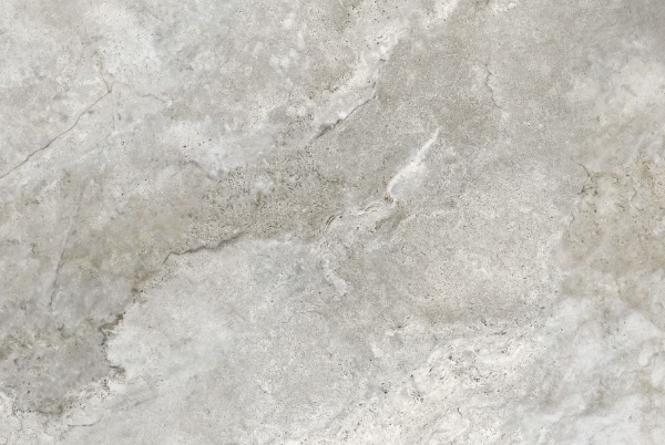 Planchers 1867 Floor Tiles Sena Perla Polished 24" x 48"
