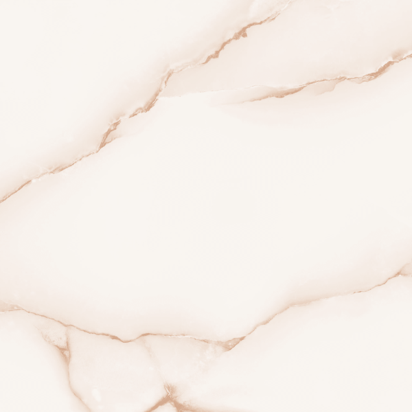 Planchers 1867 Floor Tiles Onyx Gem Bone Polished 24" x 24"