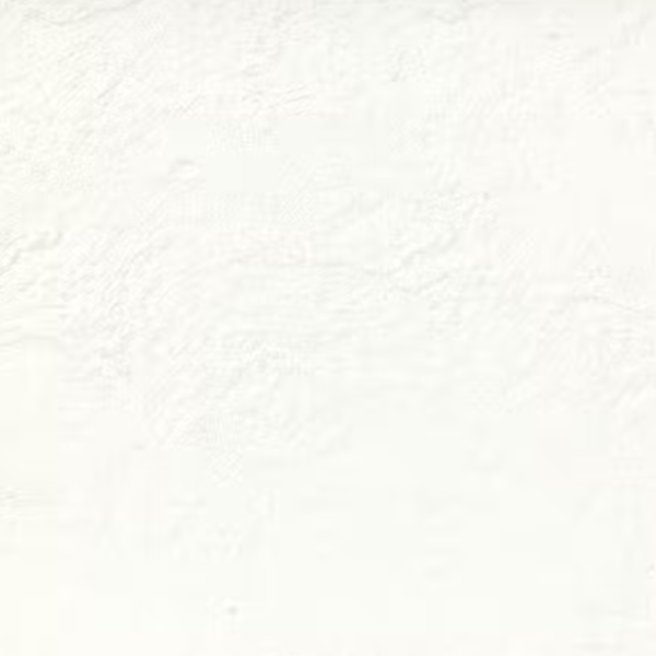 Planchers 1867 Floor Tiles Super Slate White Matte 24" x 24"