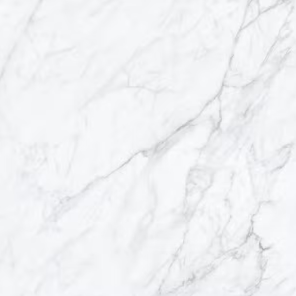 Planchers 1867 Floor Tiles Carrara White Matte 12" x 24"
