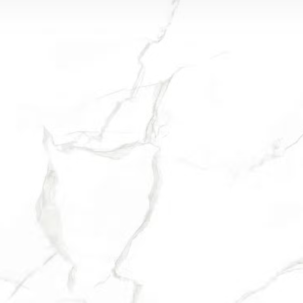 Planchers 1867 Floor Tiles Delicato Matte 24" x 24"