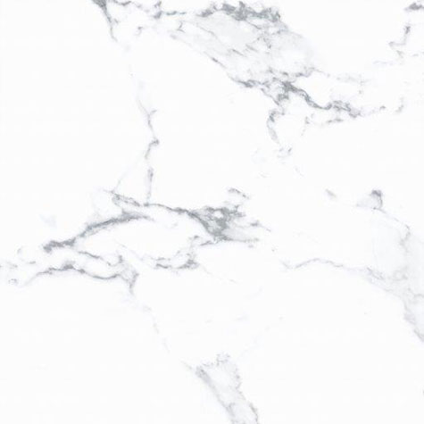 Planchers 1867 Floor Tiles Statuario Bianco Matte 24" x 24"