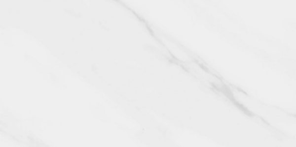 Planchers 1867 Floor Tiles Nü-Pür White Winter Polished 24" x 24"
