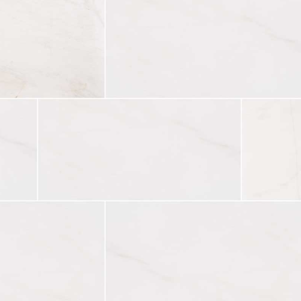 MSI Surfaces Floor Tiles Bianco Dolomite White-Cool Polished 12" x 24"