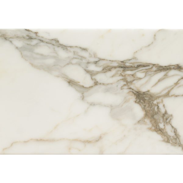 MSI Surfaces Floor Tiles Bianco Dolomite White-Cool Honed 12" x 24"