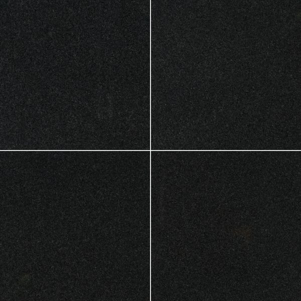 MSI Surfaces Floor Tiles Granite Countertops Premium Black Polished 24" x 24"
