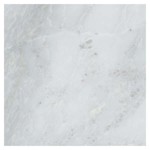MSI Surfaces Floor Tiles Arabescato Carrara White-Cool Polished 12" x 12"