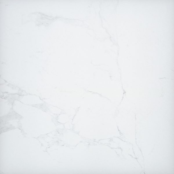 MSI Surfaces Floor Tiles Arterra Praia Carrara Matte 24" x 24"