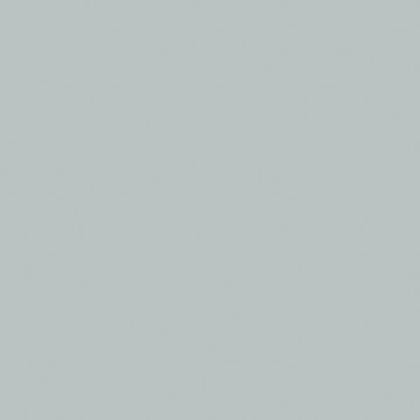 Centura Floor Tiles Carpenter Pearl Matte 24" x 24"