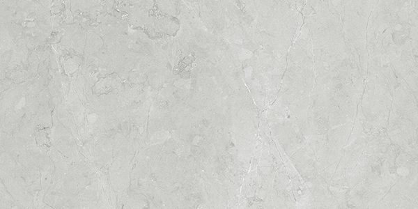 Centura Floor Tiles Altamura Silver Matte 12" x 24"