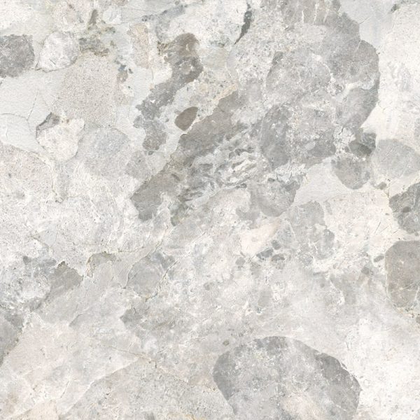 Centura Floor Tile Larocca Grey Matte 24" x 48"