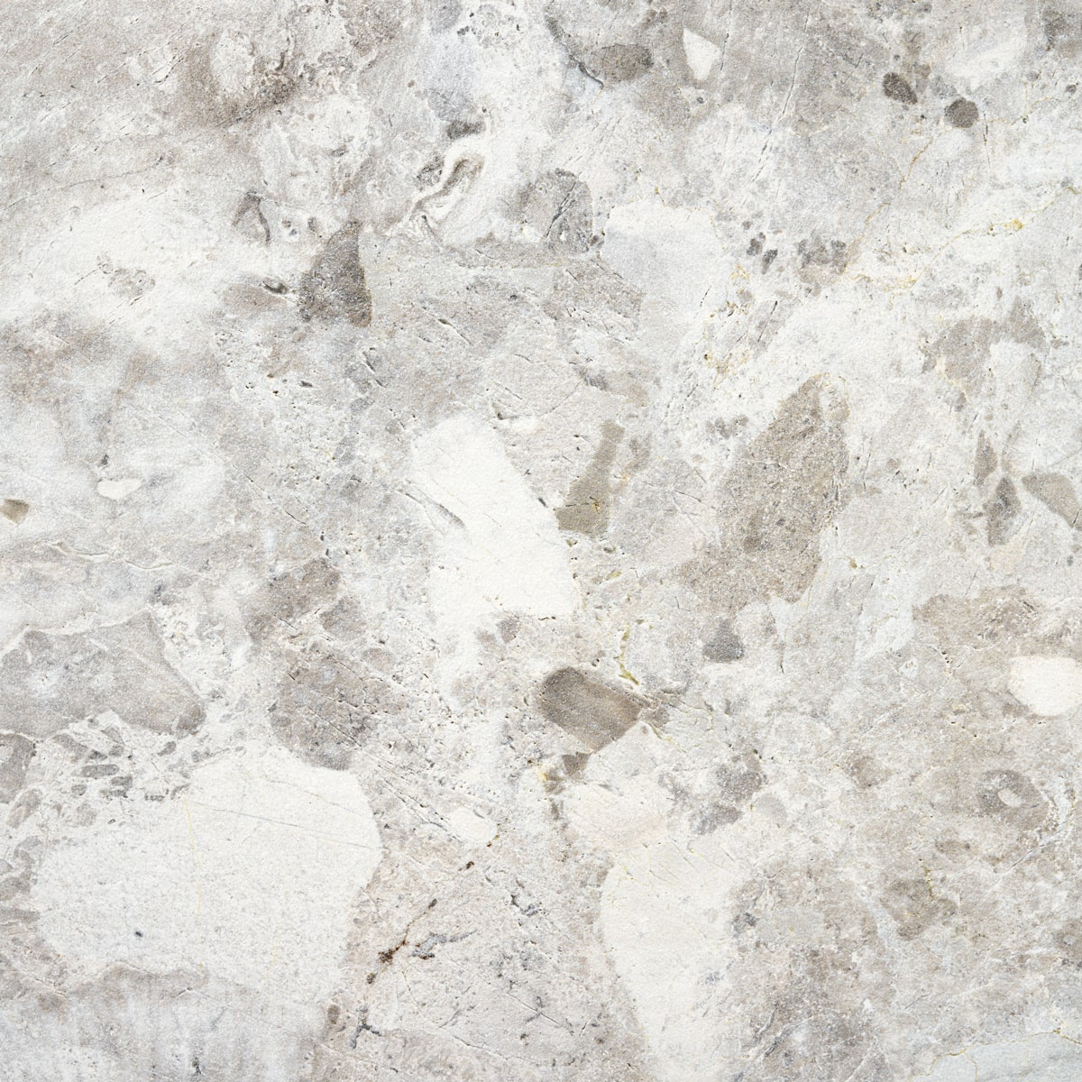 centura floor tile larocca grey matte 24" x 24" 1 centura floor tile larocca grey matte 24" x 24"