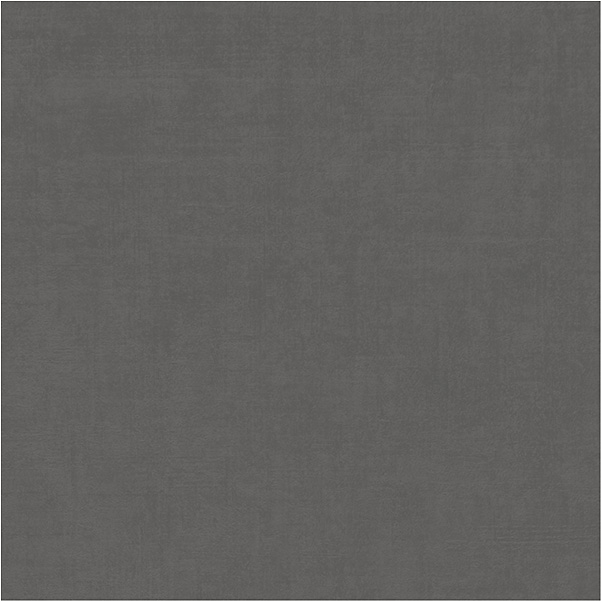Centura Floor Tiles Cement Mix Fine Dark Grey Matte 24" x 24"