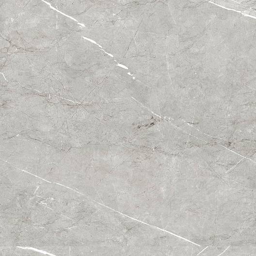Centura Floor Tiles Columbia Perla Matte 24" x 24"