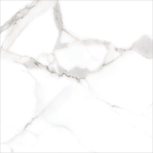 Centura Floor Tiles Alsacia Matte 24" x 24"