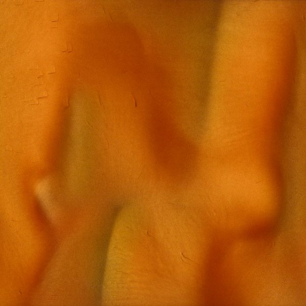 Torginol Epoxy Pigment Metallique Lager P-1130 4 oz