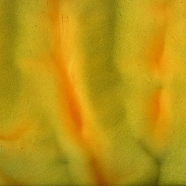 Torginol Epoxy Pigment Metallique Papaya P-1420 4 oz