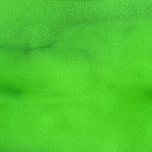 Torginol Epoxy Pigment Metallique Avocado P-1520 4 oz