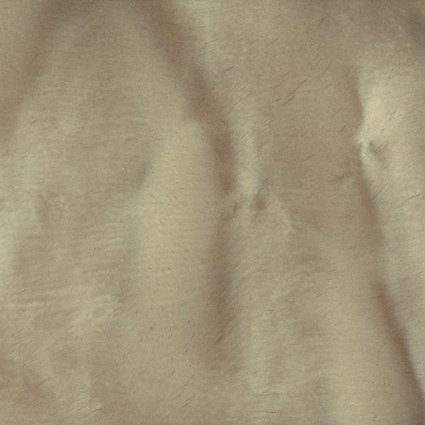 Torginol Epoxy Pigment Metallique Guava P-1105 4 oz